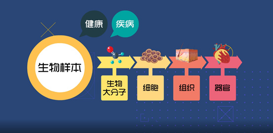 淺談CRC生物樣本管理！生物樣本采集、處理、存儲(chǔ)、運(yùn)輸全過程注意事項(xiàng)(圖1)