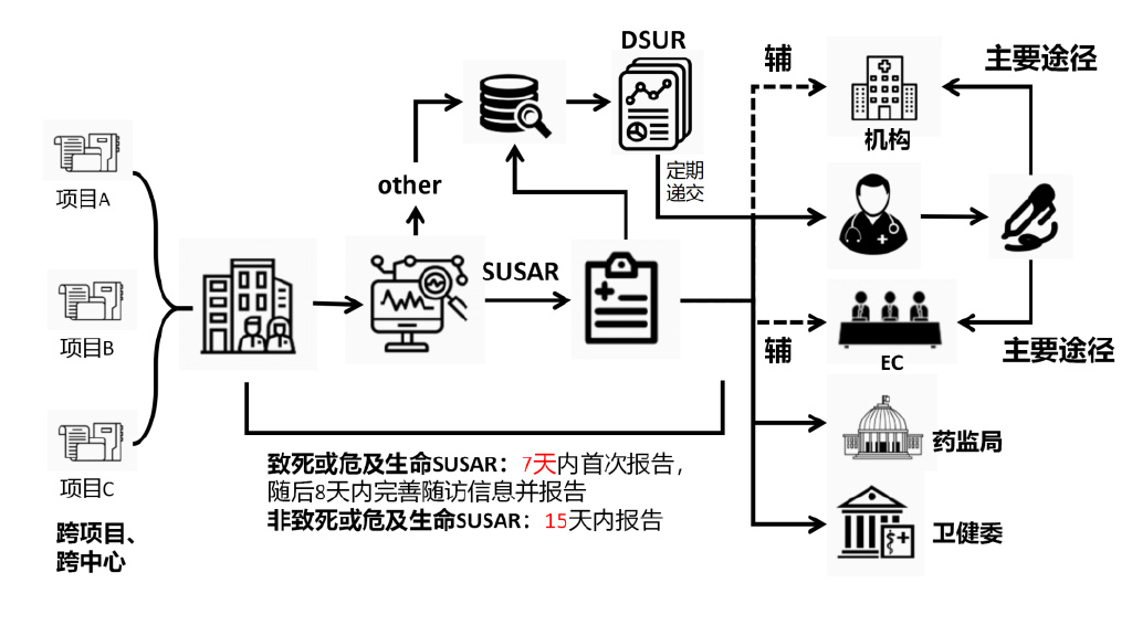 臨床試驗安全性事件如何上報？臨床試驗不良事件上報流程圖(圖3)